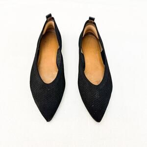Everlane Black Classic Pointy Toe Cushioned Ballet Flats Cloth Texture Size 7